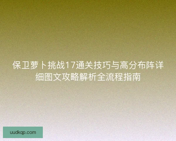 保卫萝卜挑战17通关技巧与高分布阵详细图文攻略解析全流程指南