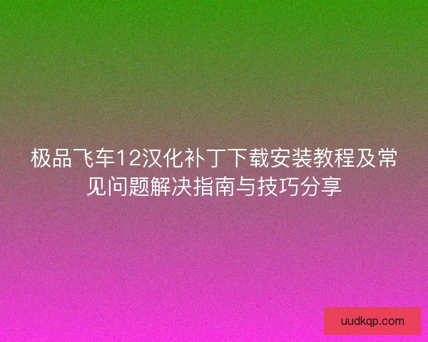 极品飞车12汉化补丁下载安装教程及常见问题解决指南与技巧分享